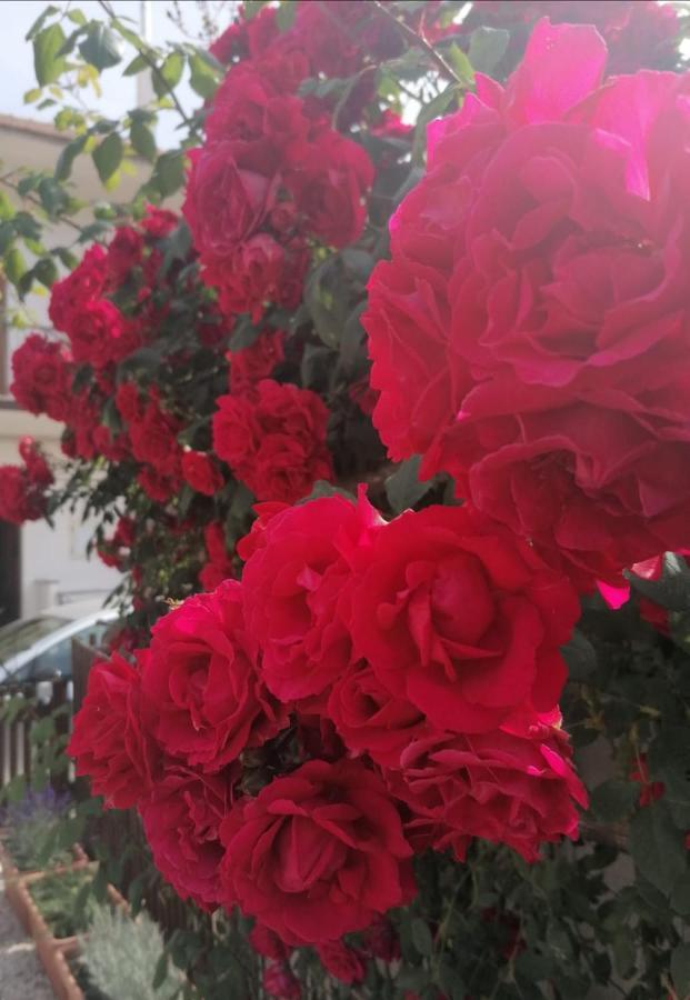 فيلا La Dimora Di Venere أَجيرولا المظهر الخارجي الصورة